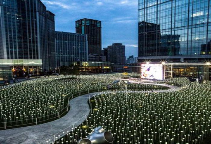 Taman Lampu Mawar Paling Romantis 